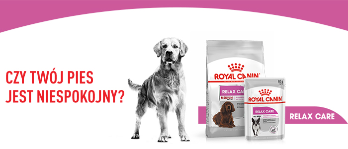 ROYAL CANIN CCN Medium Relax Care karma sucha dla psów dorosłych, ras średnich, narażonych na działanie stresu